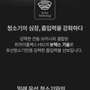 도그렉스 이미지