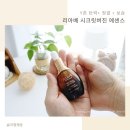 리아베 | 리아베 시크릿버진 에센스 Y존탄력 제대로