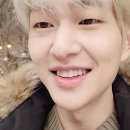 나무사이에 자연속으로 이미지