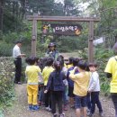 은영어린이집 "숲속다람쥐학교 " 숲체험 방문 이미지