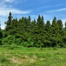 중기목장 이미지