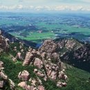 축제(동양화) 이미지