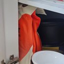 민트휴 | [마이프로틴] 임팩트 웨이 프로틴 초콜렛 민트 후기 (내돈내산)