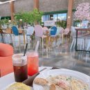 해동카셀프 | 오산 꽃잎 브런치 카페 추천 애견동반 단체 주차 편리