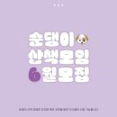 상화유치원 | 강아지그룹산책 | 시흥 배곧생명공원에서 무료 순댕이 산책 모임을 해요🐶