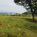 약골자전거도로 이미지