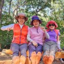 수리산 임도오거리 화장실 이미지