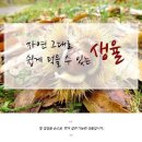 겨울철 국민간식 2024 햇약단밤 출시시작~~ 구밤할인도 진행중이에요~/생율 이미지