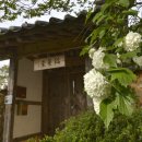 도래도래민박 | 나주 볼거리. 나주 가볼 만한 곳. 고즈넉한 골목과 한옥이 있는. 전남 나주 &#34;도래 전통한옥마을&#34;