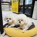 반자주 진해점 이미지