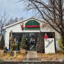 내가 우리집 가드너 | 의왕 크리스마스 트리 카페추천 더가드너 내돈리뷰