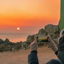 간절곶사슴농장 이미지