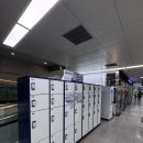 연화공원 광안대교 | 2025 부산 광안대교 국제 걷기 축제 참가 후기 및 2026 대회 일정 총정리(다이아몬드브릿지, 기념품)