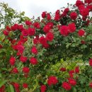 한올공인중개사사무소 이미지