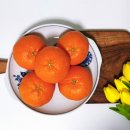 맛미유기비료 | 땅파머스 레드향 명절선물세트 황금향 레드향 천혜향 한라봉 비교