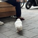개천사 화장실 네이버블로그