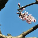 고삼목장 이미지