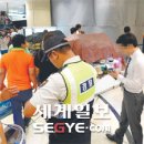 김천장팔 이미지