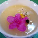 차랑술이랑 티스토리