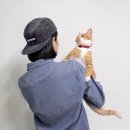 너프너프 이미지