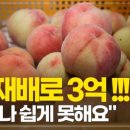풀잎환경