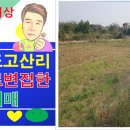 황금빛부동산중개사무소 이미지