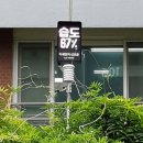 서원초등학교 이미지