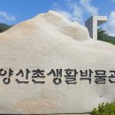산촌추어탕