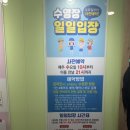 용인시청 | 용인시청 어린이 수영강습 후기 (초등 아이 혼자 보내도 괜찮을까?)