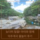 덕주 | <제천 덕주계곡> 늦더위 탈출! 아이와 함께 덕주계곡 물놀이 후기! (주차장 꿀팁!)