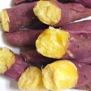 해시피트니스 이미지