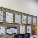 헬로우 모터스 이미지