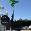 내산농장 | 충남 서산 이색 체험 스핑크스타조농장 내 돈 내산 방문 후기