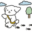 펫트리파크 이미지