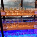 트레비어 이미지