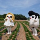 반석날마다땅콩