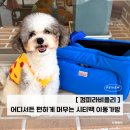 피라 | 강아지이동가방 추천 컴피라비올리 시티백 5kg 말티푸 L사이즈 솔직후기