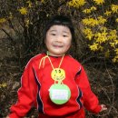 상리체육공원 이미지