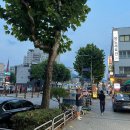 봉일천시장 | 대파무침과 싸먹는 부속고기에 소주가 술술 들어가는 상봉역 고깃집 봉일천돼지부속