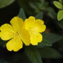 숲속어린이집 이미지