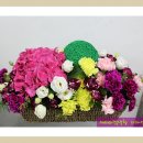 조선대학교 디자인대학원 이미지