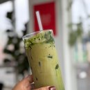 라라피포 제주 이미지