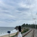 묵호상회 | 강릉&amp;묵호 2박3일 여행! Day2. 묵호에서 있던 일!