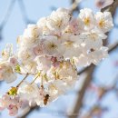 호근서호로 이미지