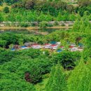 광주패밀리랜드 카라반캠핑장 이미지