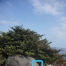 남희청국장 이미지