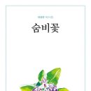 제주평화음악회 이미지