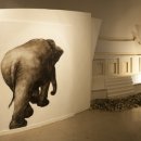 끼리끼리 이미지