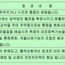 해동안마원 이미지