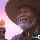 풍기인삼유통 한겨레